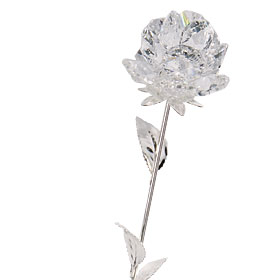 Футболки сваровски италия